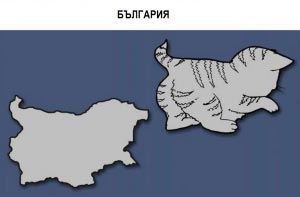 На какво приличат страните на картата?