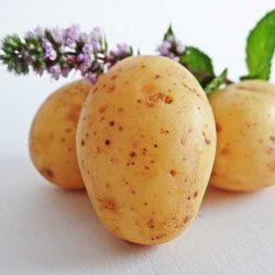 Как картофите превзеха Европа?