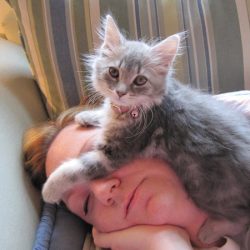Защо котките обичат да спят на главите на стопаните си