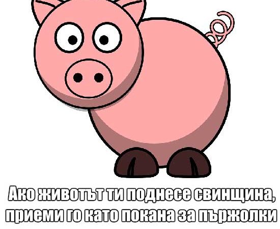 свинщина