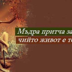Мъдра притча за тези, чийто живот е тежък