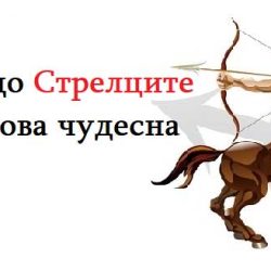 Ето защо Стрелците са толкова чудесна зодия!