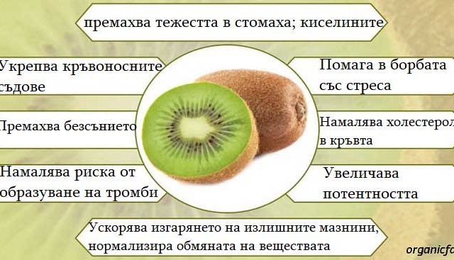 ползите-от-кивито