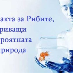 20 факта за Рибите, разкриващи невероятната им природа
