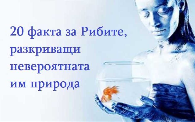 20-факта-за-Рибите,-разкриващи-невероятната-им-природа