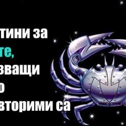 22 истини за Раците, показващи колко неповторими са