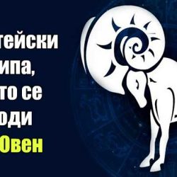 20 житейски принципа, от които се ръководи всеки Овен