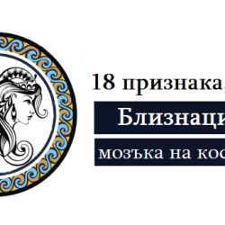 18 признака, че сте Близнаци до мозъка на костите си