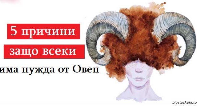 5-причини-защо-всеки-има-нужда-от-Овен