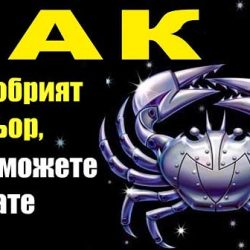 Верен и лоялен: Ракът е най-добрият партньор, който можете да имате