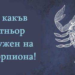 Ето какъв партньор е нужен на Скорпиона!