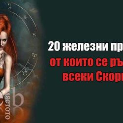 20 железни принципи, от които се ръководи всеки Скорпион
