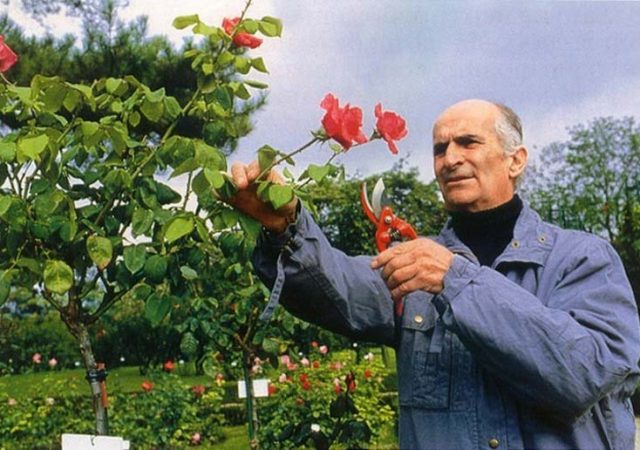 Луи-дьо-Финес-и-неговите-рози