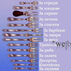 Различните видове вилици и тяхното предназначение