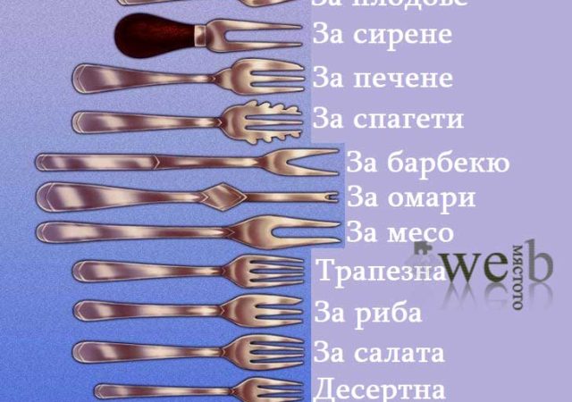 Какви са различните видове вилици и за какво служат? Ще разберем сега: